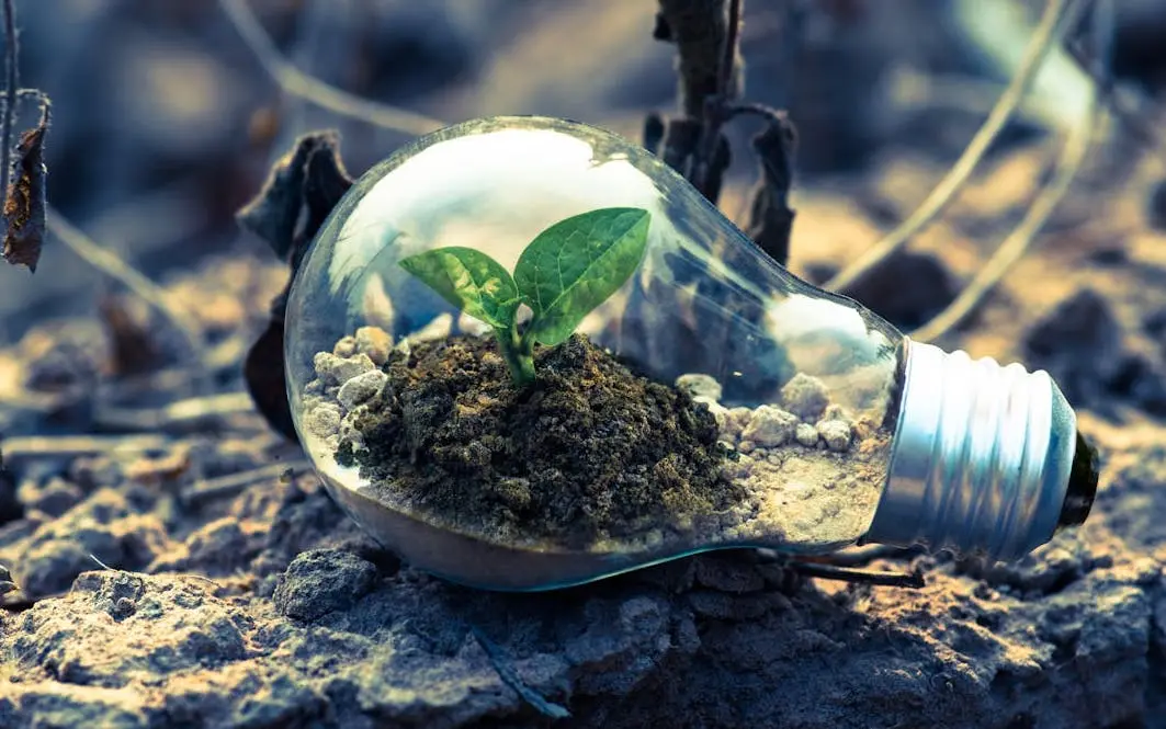 Green buildings in Turkey